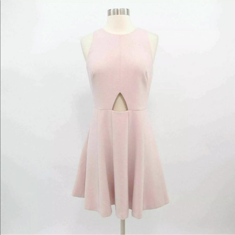 Club Monaco Soft Pink Skater Dress